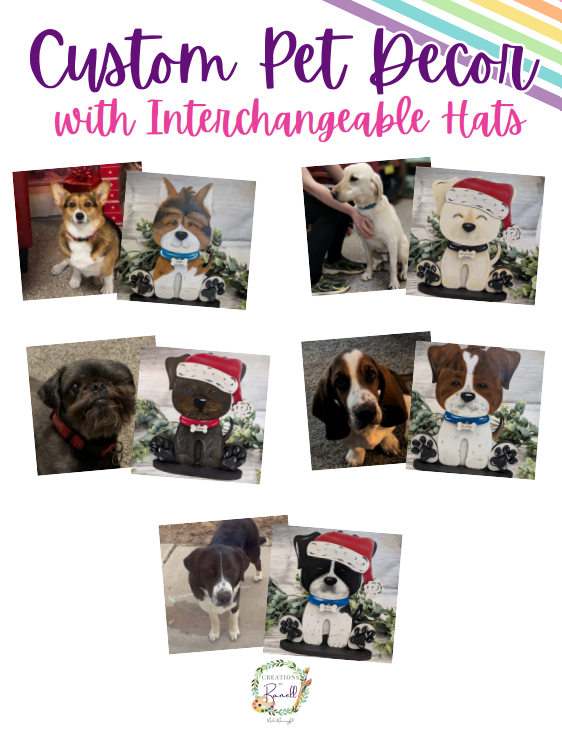 Custom Painted Pet with Interchangeable Hats | Custom Decor